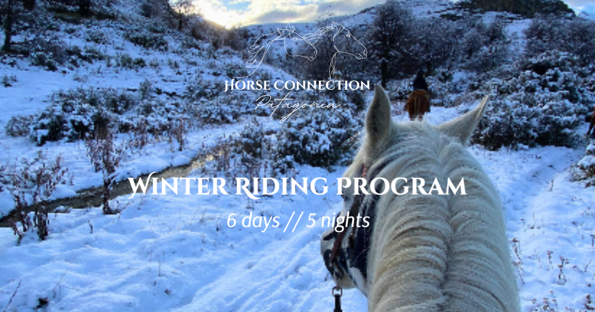 Winter Riding Winter Riding
